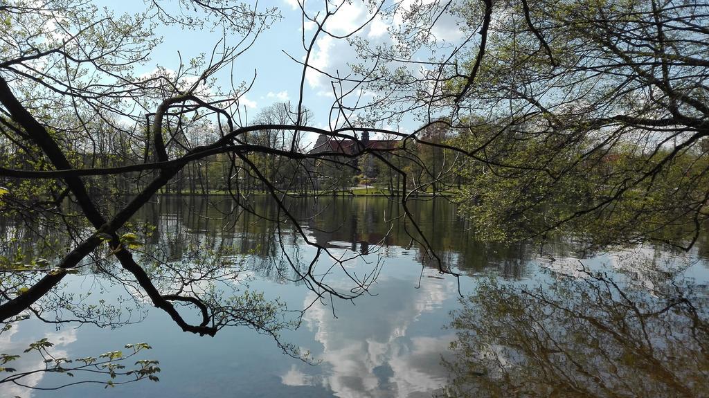 Stara Kamienica Centrum مارونجوفو المظهر الخارجي الصورة